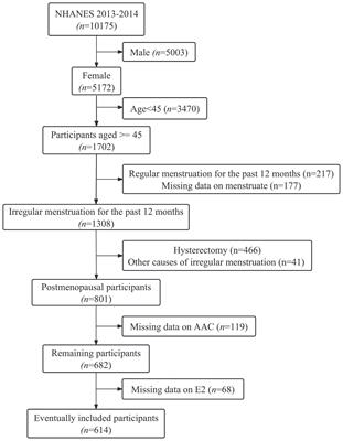 Association between serum estradiol levels and abdominal aortic calcification in postmenopausal woman: a cross-sectional study